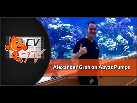 Abyzz Pumps: Alex on Abyzz