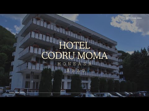 HOTEL CODRU MOMA MONEASA, ARAD, OFERTE CAZARE HOTEL CODRU MOMA MONEASA, ARAD, PROMOTII CAZARE