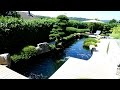 Modern Koi Blog #1050 - Ein Traumteich aus Künstlerhand Modern Koi Blog #1050 - Ein Traumteich aus Künstlerhand