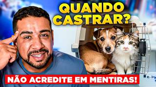 Vale a Pena Castrar? O Que Ninguém Te Explica (Cães e Gatos)
