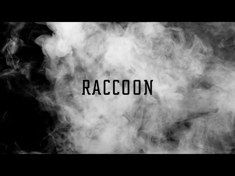RACCOON - วิญญาณช่างไม้「Lyric Video」