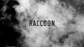 RACCOON - วิญญาณช่างไม้「Lyric Video」