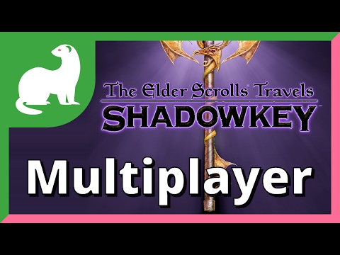 The Elder Scrolls Travels: Shadowkey Multiplayer Feature