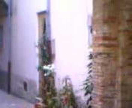 Video O33 - Jackass Cellino