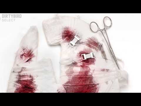 Danny Kolk - Little Bird [DIRTYBIRD]