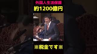 【参政党】神谷代表「生活保護を見直すべき」