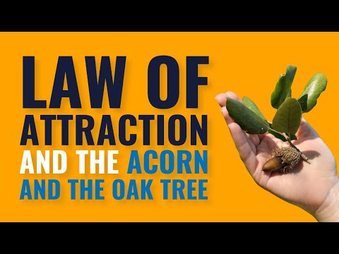 Law Of Attraction and the Acorn and The Oak Tree