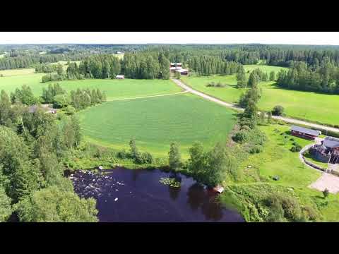 Onnea 100-vuotias Suomi!