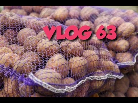 ПЕРВЫЕ ЗАГОТОВКИ НА ЗИМУ/ #VLOG 63