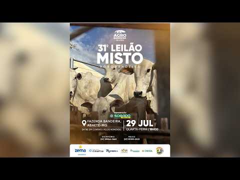 31º LEILÃO MISTO - AGRO BANDEIRA EM ABAETÉ/MG - 29/07/2026