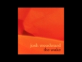 Josh Woodward - Gemini 