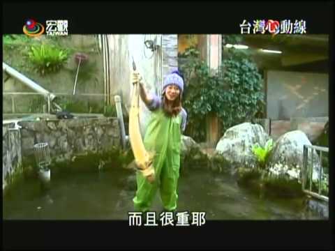 天然谷山水餐廳影片2