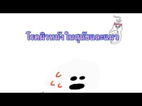 รักษาเด็กโรคสะเก็ดเงิน กลากระหว่างนิ้วมือของภาพถ่ายมือ
