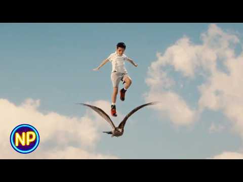 Fighting the Coach | CJ7 (2008)