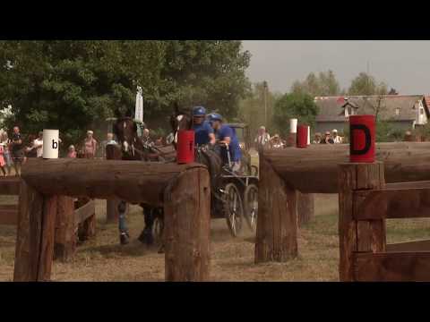 Maraton 2/2 – Mezinárodní vozatajské závody CAI3* Nebanice 2019