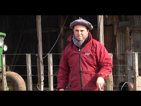 FORMAR PARTE DE TODA LA CADENA DE LA CARNE