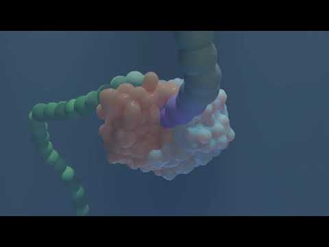 Drug - Paper - Scissors - How does drug resistance develop in HIV-Protease.