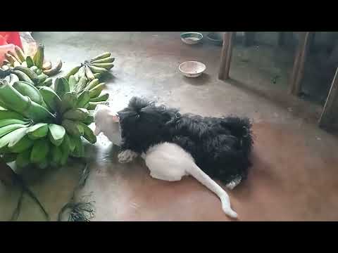 best friend!,,hamdan & meloy