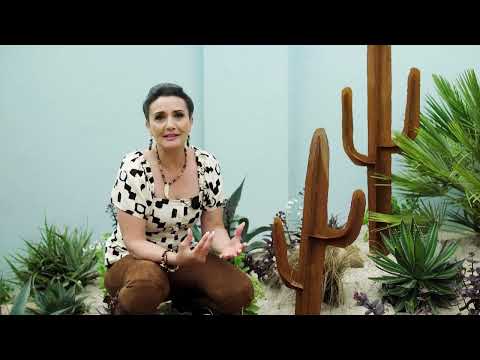 Monica's tip for Paul's garden - Super Garden 2022, Episode 1