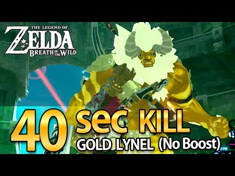 40 sec kill Gold Lynel (No boost from foods) l Zelda : Breath of the wild l InfinityB