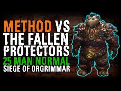 Method vs The Fallen Protectors (25 Normal)