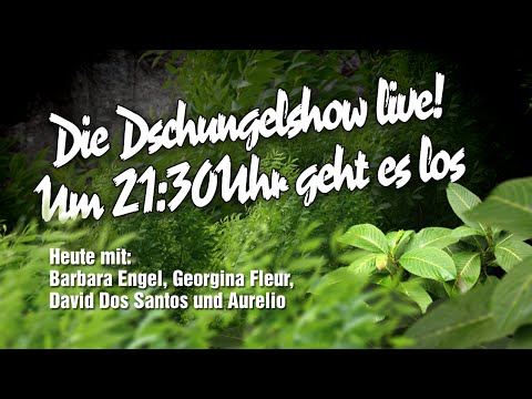 Die große BILD-Dschungelshow im Live-Stream - 21.01.2016