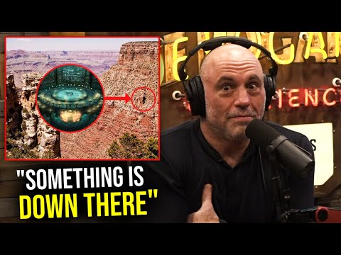 Joe Rogan: "Nobody in America is Talking About This.." (warning)