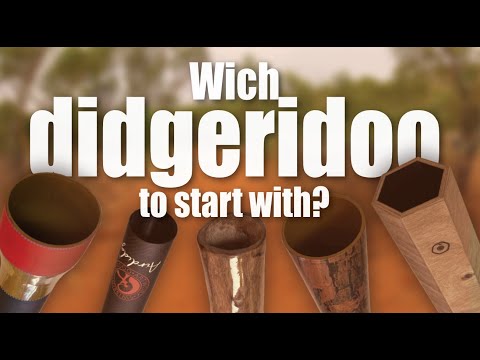 Best Didgeridoo for Beginners (Complete Buyer’s Guide 2025)