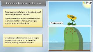 Coordination in Plants : Immediate Response to Stimulus | Chapter 6 | Science | Class 10th | iPrep