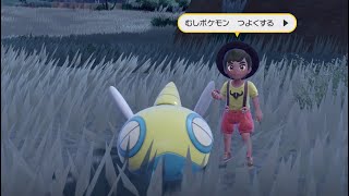 【ポケモンSV】その人は僕のことを「少年」と呼び、妙にでかいノコッチで蹂躙してきた回