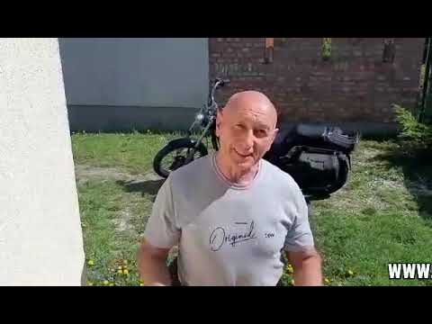 Ingyenes zeller palánta!