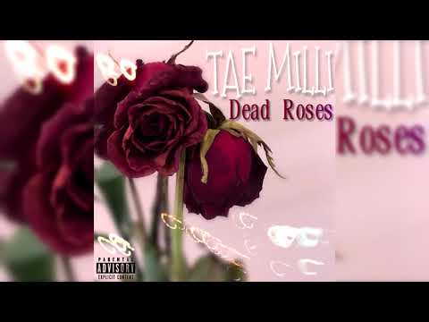 Tae Milli - Dead Roses