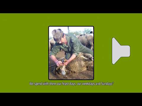 ARCVONÁSOK - 3. A pásztor az állatok között