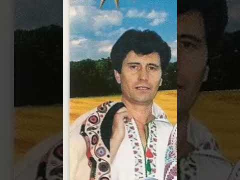 Alexandru Dachin - Din Turnu la Rosiori