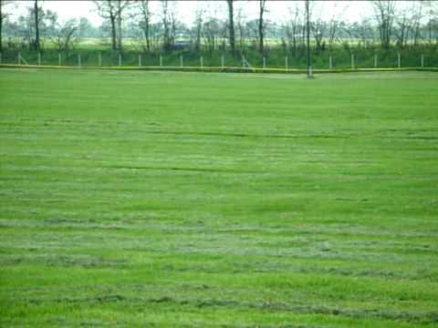 2.futam VvSzellő és Erre magyar agár Coursing Hódmezővásárhely 2010.04.24.