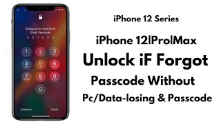 iPhone 12|iPhone 12Pro|iPhone 12 Pro Max Unlock iF Forgot Passcode Without Passcode/PC/Data-Losing