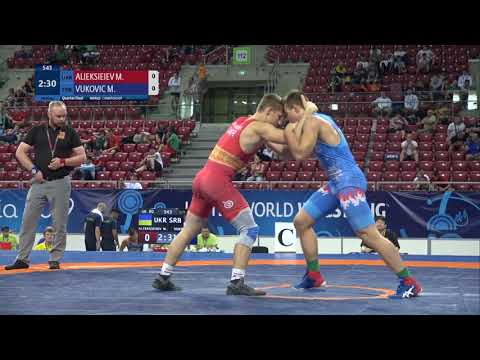 1/4 GR - 80 kg: M. ALIEKSIEIEV (UKR) v. M. VUKOVIC (SRB)