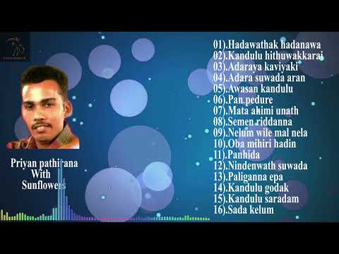 ප්‍රියාන් පතිරණ සමග සන්ෆ්ලවර් | Top 16 Sunflower Moments With Priyan Pathirana