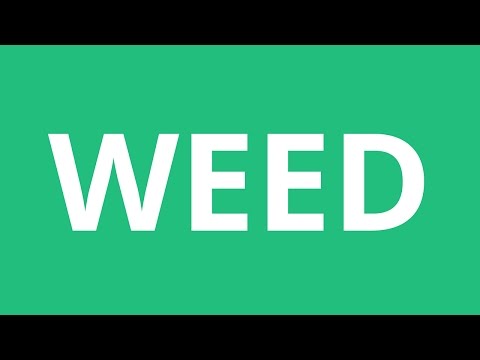 How To Pronounce Weed - Pronunciation Academy
