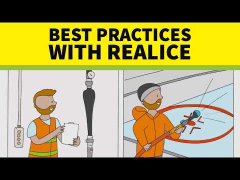Following REALice Best Practices