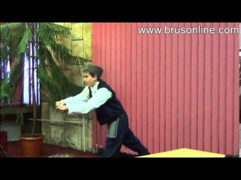 Brus: "Na ivici kaznenog prostora" - Vlada Šćepanović