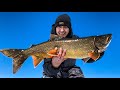 Video Thumbnail for My last epic lake trout before spring melt