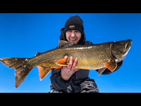 My last epic lake trout before spring melt