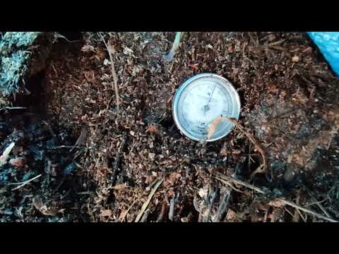 45 stopni Celsjusza w pryzmie kompostowej w grudniu. Kompost pięknie pracuje po przerzuceniu.