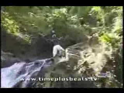 Spice Isle Rock- Mr.Killa