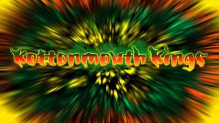 Positive Vibes Kottonmouth Kings