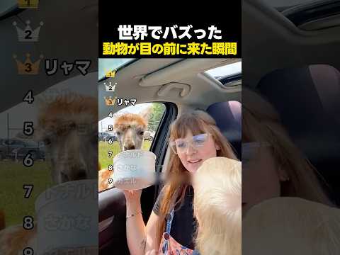 近すぎてパニック！？世界でバズった動物が目の前に来た瞬間TOP9