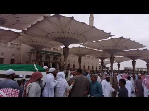 وانەزانی نامری.م.عــلــی خــان