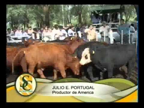 Entre Surcos y Corrales - Programa 57- Parte 1 de 4