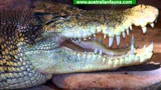 Gordon Parsons - The Whole Town's Scared Of Me.